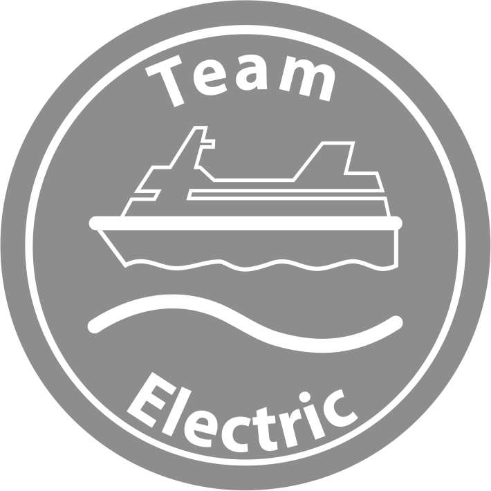 Team Electric Group